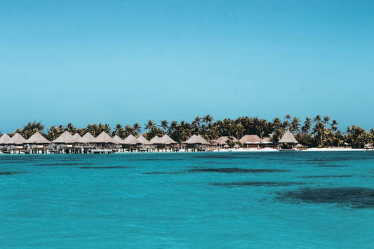 Eco-Friendly Travel Destinations